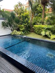 Sennett Avenue (D16), Semi-Detached #497726001